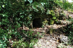 chateau de chessy les mines chateau de chessy les mines