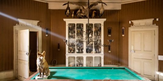 Le château du taxidermiste 2