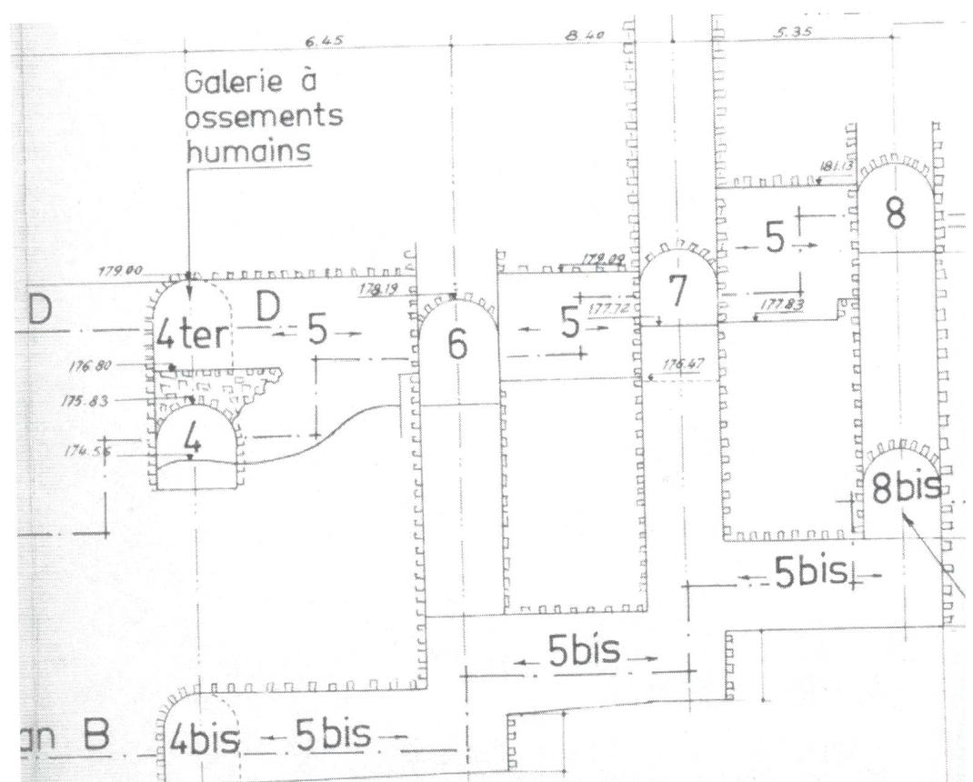 galerie ossements humains