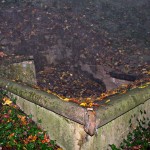 fontaine abandonnée