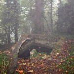 fontaine abandonnée