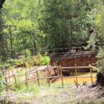 anciennes mines Chessy