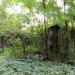 brasserie abandonnée W.