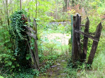 lotissement abandonné