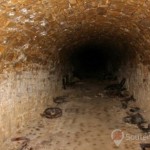 souterrain du collectionneur