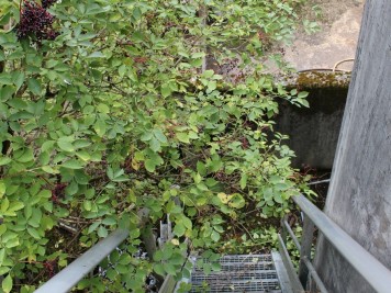 station d'épuration abandonnée