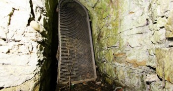 galerie souris souterrain lyon