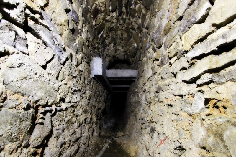 galerie souris souterrain lyon