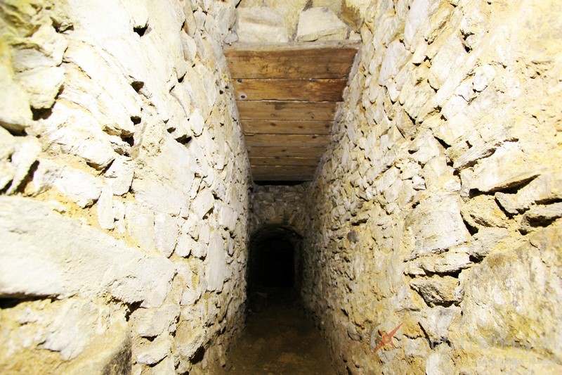 galerie souris souterrain lyon