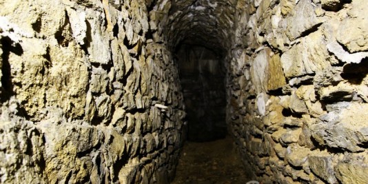 galerie souris souterrain lyon