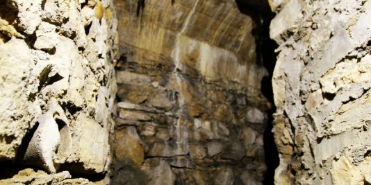 galerie souris souterrain lyon