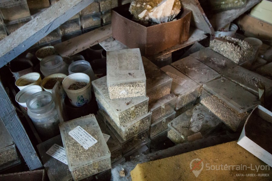 Château de l'Archéologue urbex