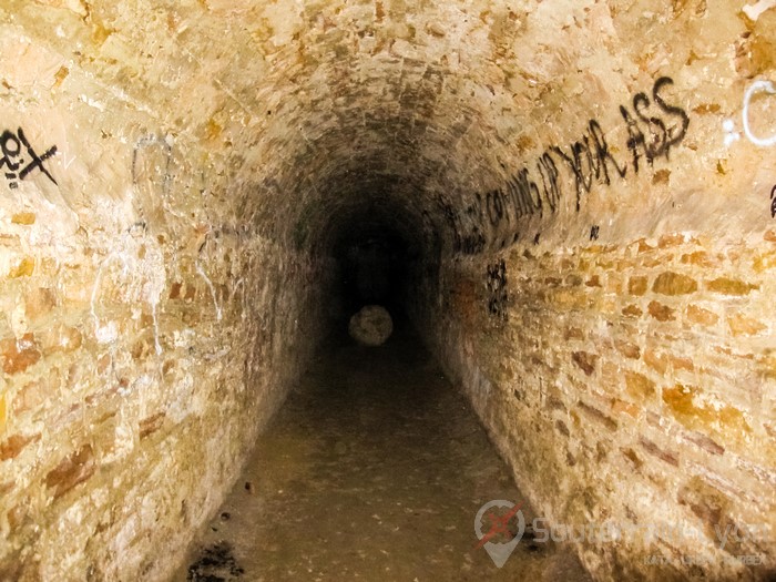 Visiter les arêtes de poisson lyon souterrain 