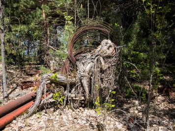 Café Pripyat après la catastrophe