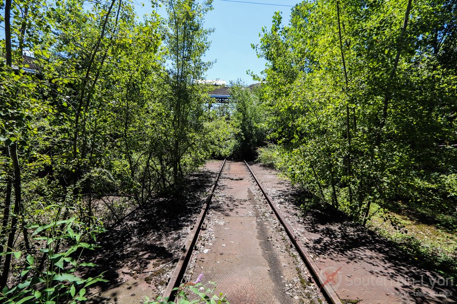 Rotonde Jungle abandonné urbex 