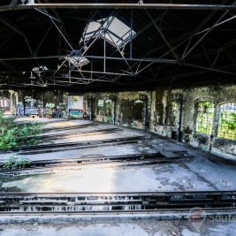 Rotonde Jungle abandonné urbex