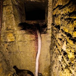 Galerie Acide Souterrain Lyon